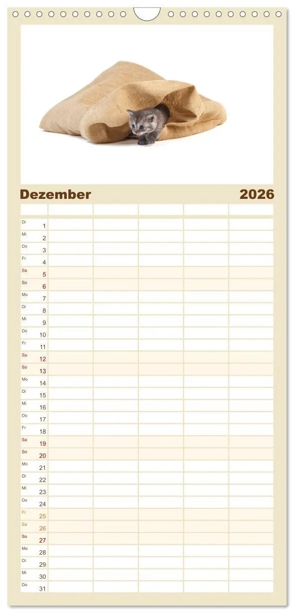 Bild: 9783516515480 | Familienplaner 2026 - Katzenbabys mit 5 Spalten (Wandkalender, 21 x...