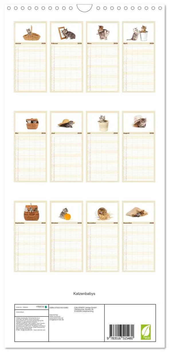 Bild: 9783516515480 | Familienplaner 2026 - Katzenbabys mit 5 Spalten (Wandkalender, 21 x...