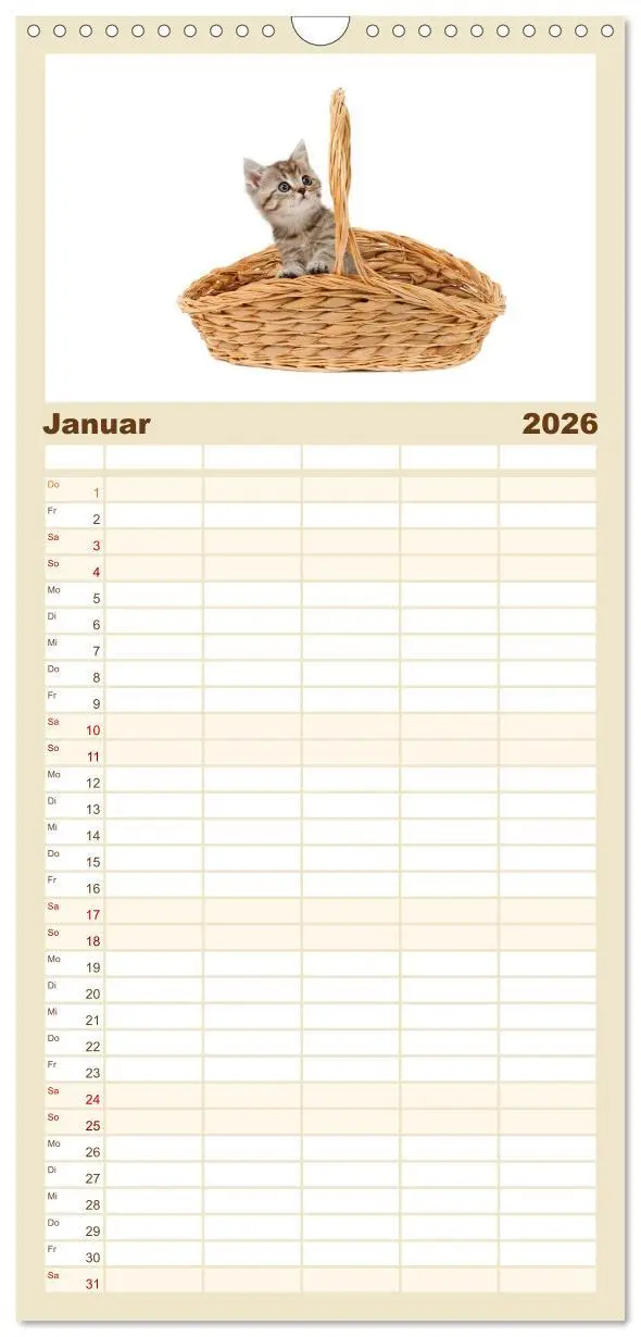 Bild: 9783516515480 | Familienplaner 2026 - Katzenbabys mit 5 Spalten (Wandkalender, 21 x...