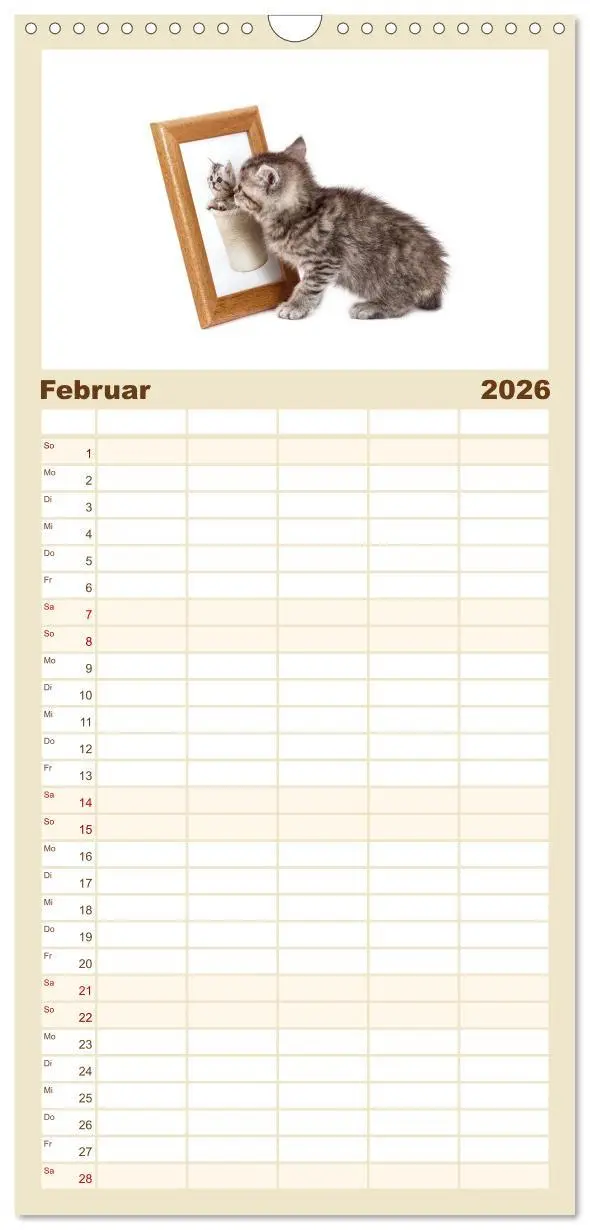 Bild: 9783516515480 | Familienplaner 2026 - Katzenbabys mit 5 Spalten (Wandkalender, 21 x...