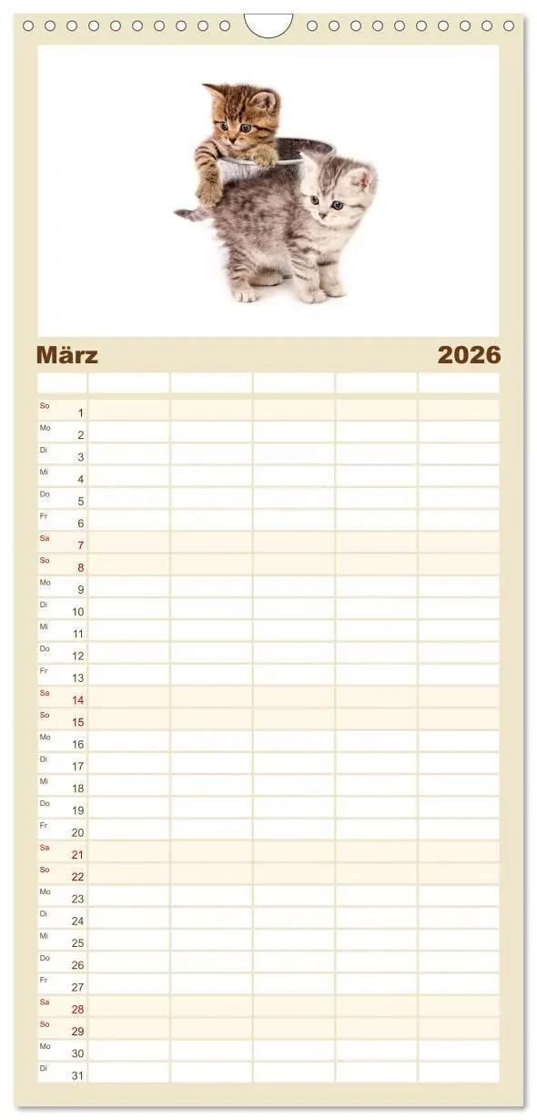 Bild: 9783516515480 | Familienplaner 2026 - Katzenbabys mit 5 Spalten (Wandkalender, 21 x...