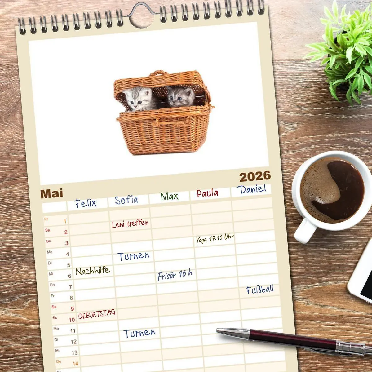 Bild: 9783516515480 | Familienplaner 2026 - Katzenbabys mit 5 Spalten (Wandkalender, 21 x...