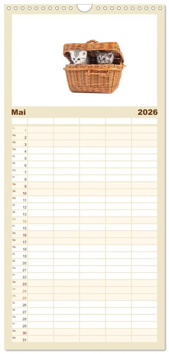 Bild: 9783516515480 | Familienplaner 2026 - Katzenbabys mit 5 Spalten (Wandkalender, 21 x...