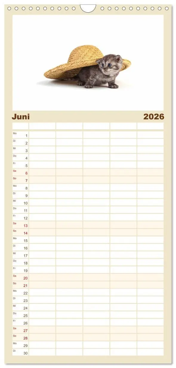Bild: 9783516515480 | Familienplaner 2026 - Katzenbabys mit 5 Spalten (Wandkalender, 21 x...