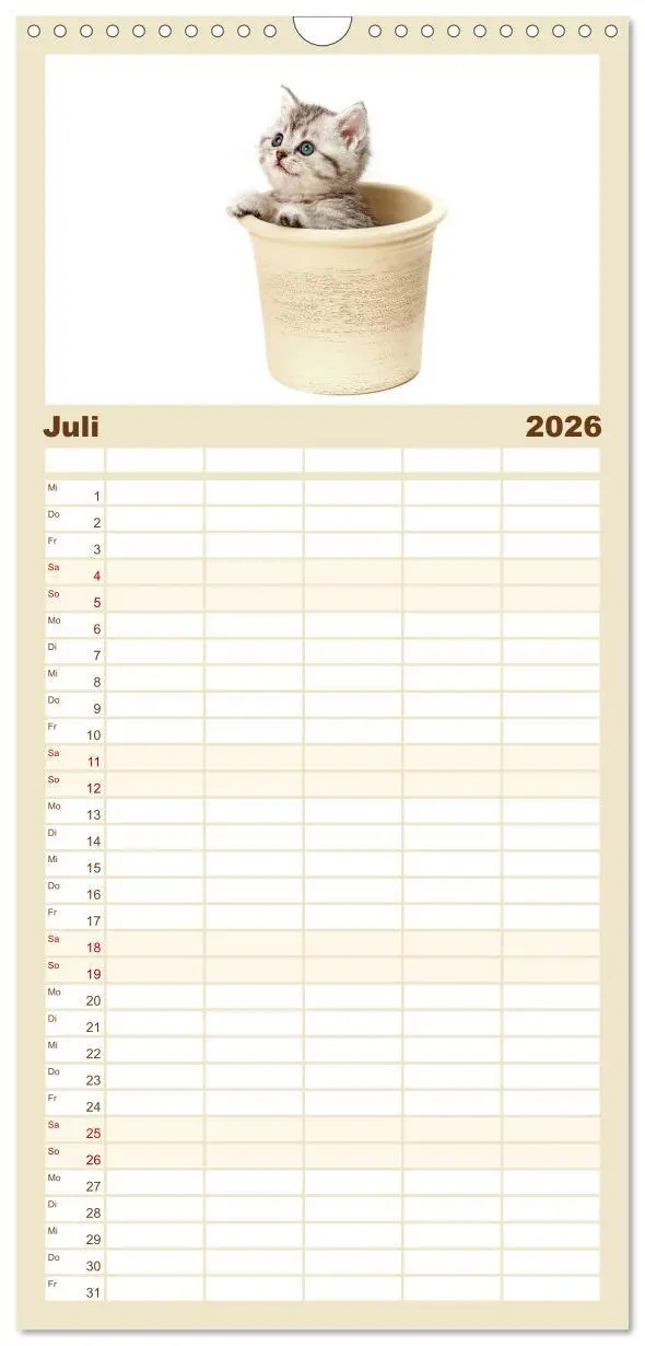 Bild: 9783516515480 | Familienplaner 2026 - Katzenbabys mit 5 Spalten (Wandkalender, 21 x...