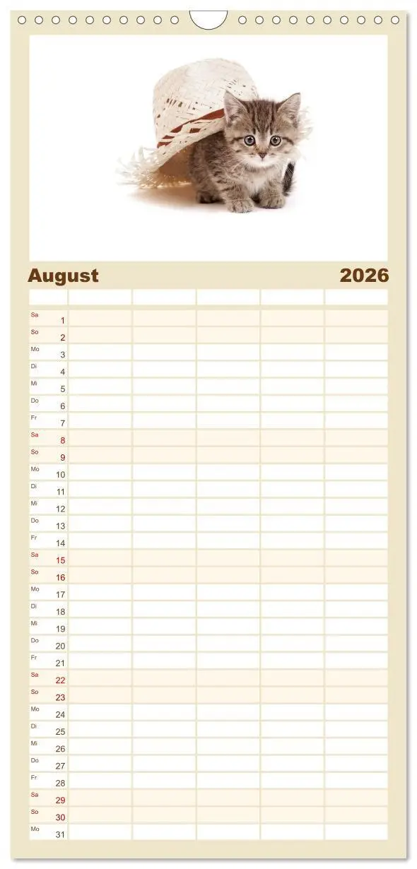 Bild: 9783516515480 | Familienplaner 2026 - Katzenbabys mit 5 Spalten (Wandkalender, 21 x...
