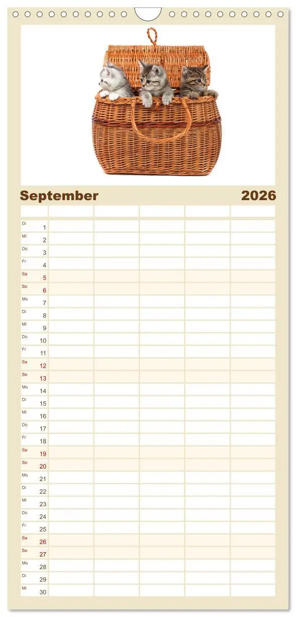 Bild: 9783516515480 | Familienplaner 2026 - Katzenbabys mit 5 Spalten (Wandkalender, 21 x...