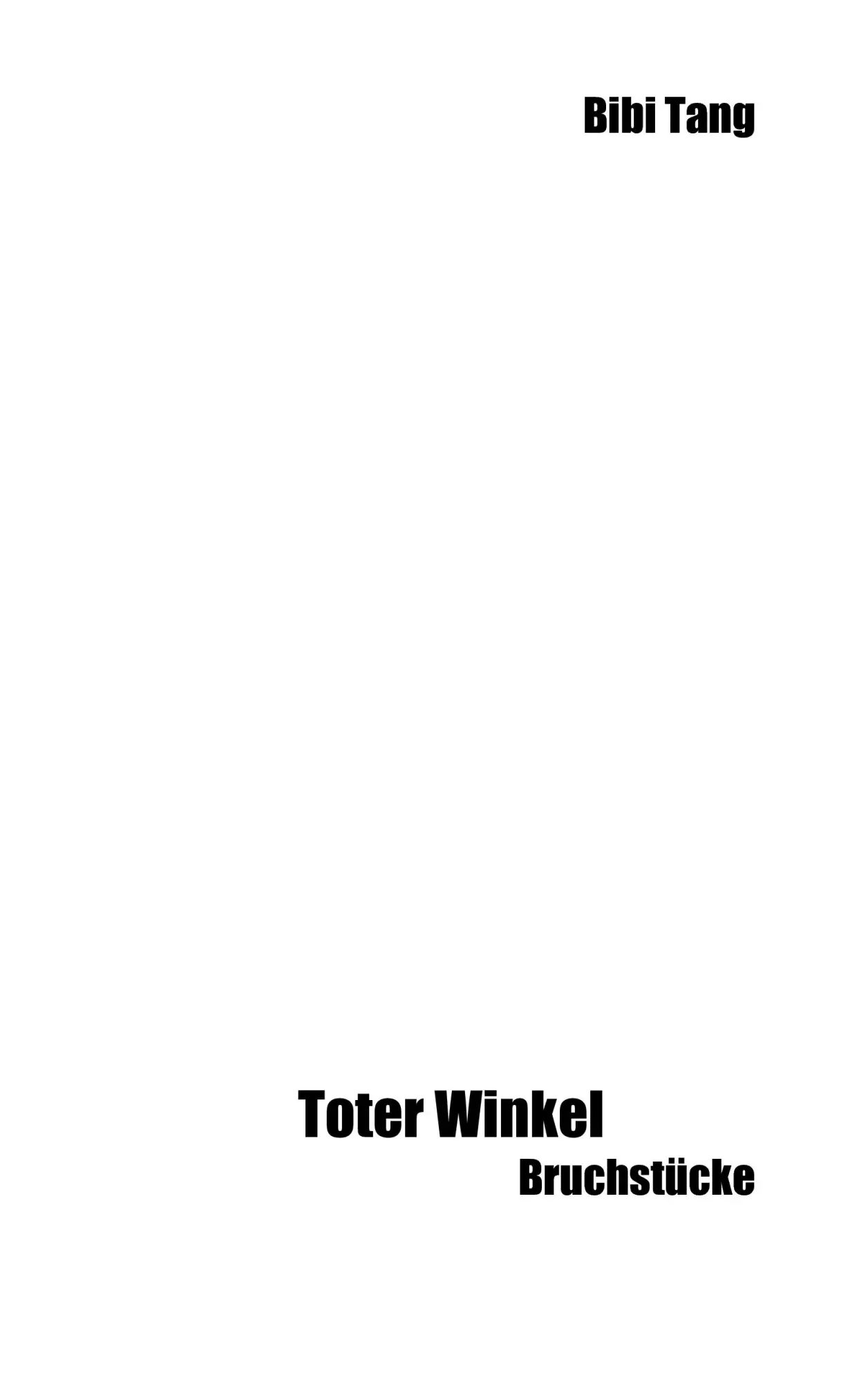 Toter Winkel: Bruchstücke
