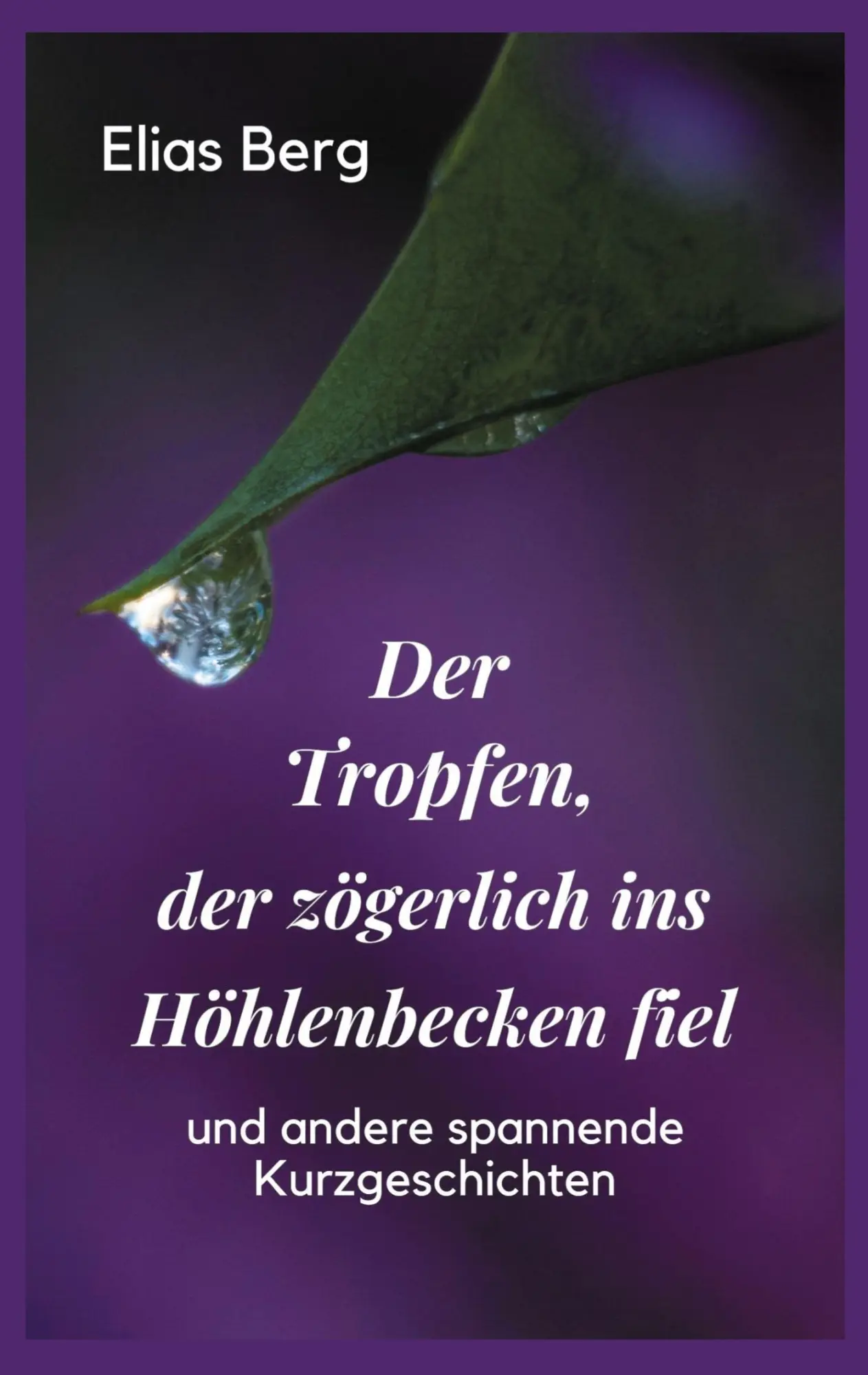 Cover: 9783755715580 | Der Tropfen, der zögerlich ins Höhlenbecken fiel | Kurzgeschichten