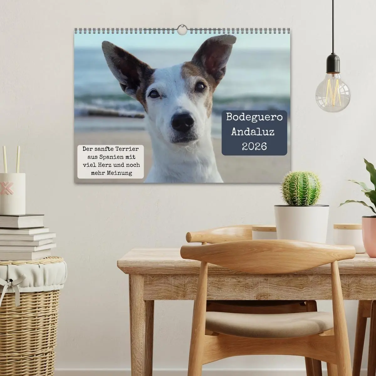 Bild: 9783516665680 | Ratonero Bodeguero Andaluz (Wandkalender 2026 DIN A3 quer),...