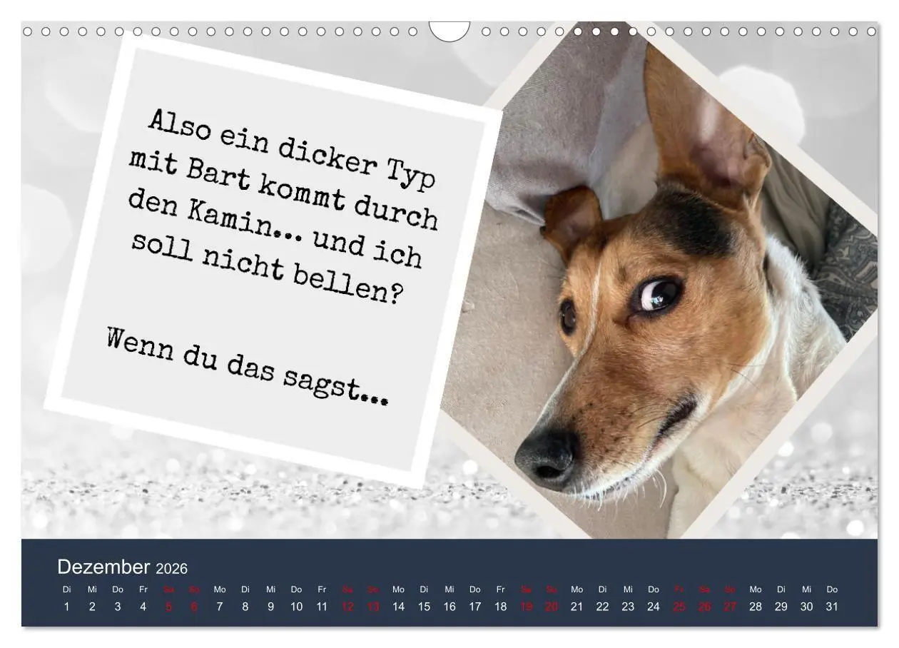 Bild: 9783516665680 | Ratonero Bodeguero Andaluz (Wandkalender 2026 DIN A3 quer),...