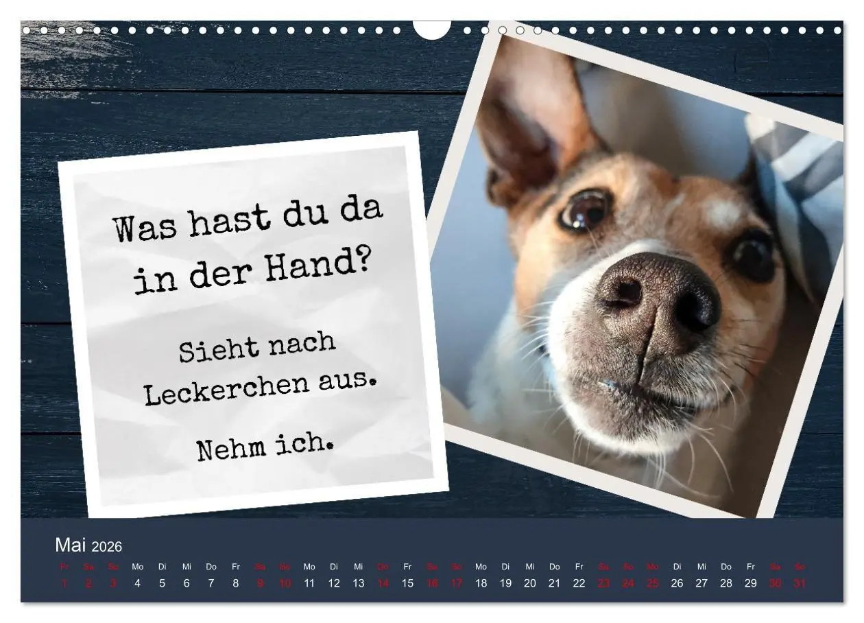 Bild: 9783516665680 | Ratonero Bodeguero Andaluz (Wandkalender 2026 DIN A3 quer),...