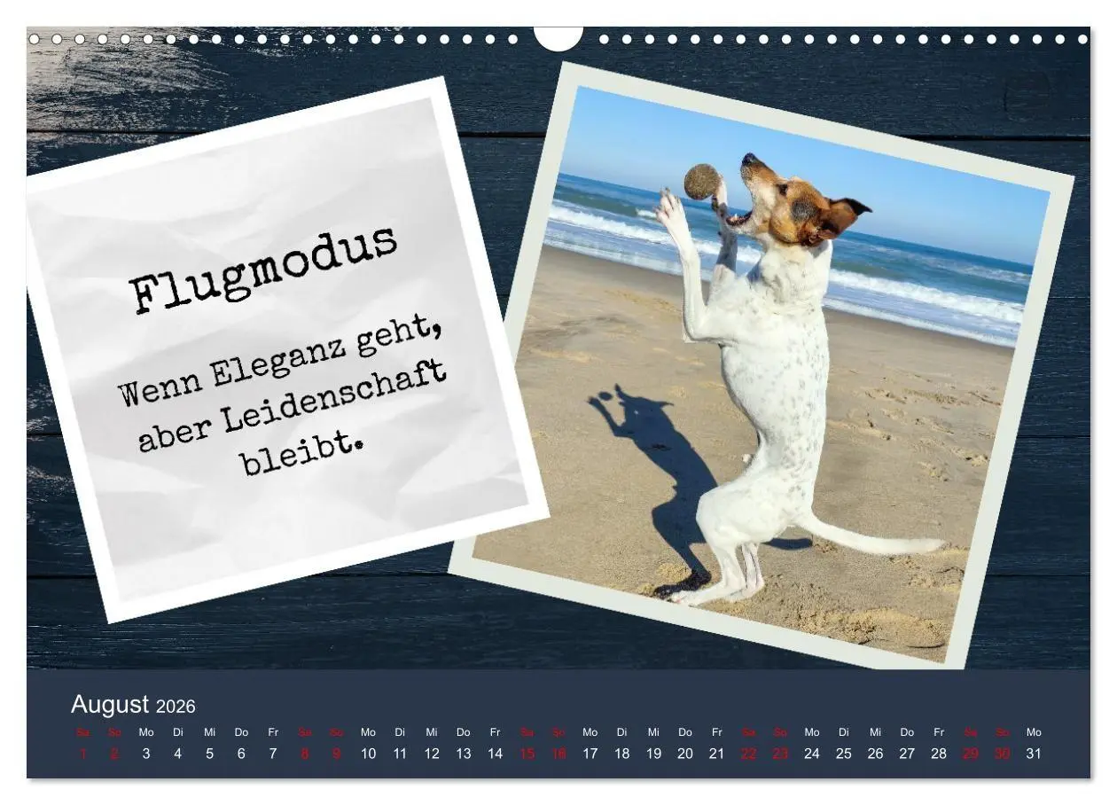 Bild: 9783516665680 | Ratonero Bodeguero Andaluz (Wandkalender 2026 DIN A3 quer),...