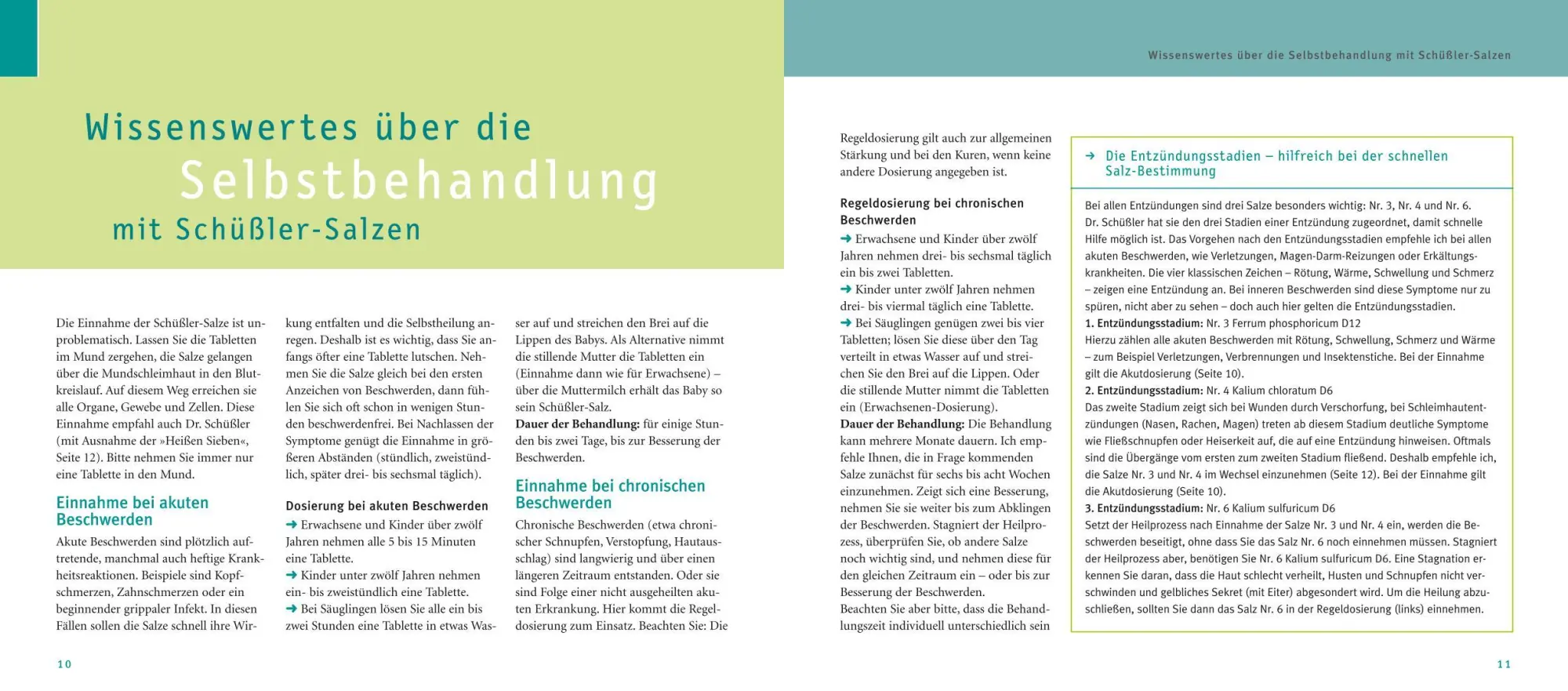 Bild: 9783833845680 | Maxi-Quickfinder Schüßler-Salze | Günther H. Heepen | Buch | 312 S.
