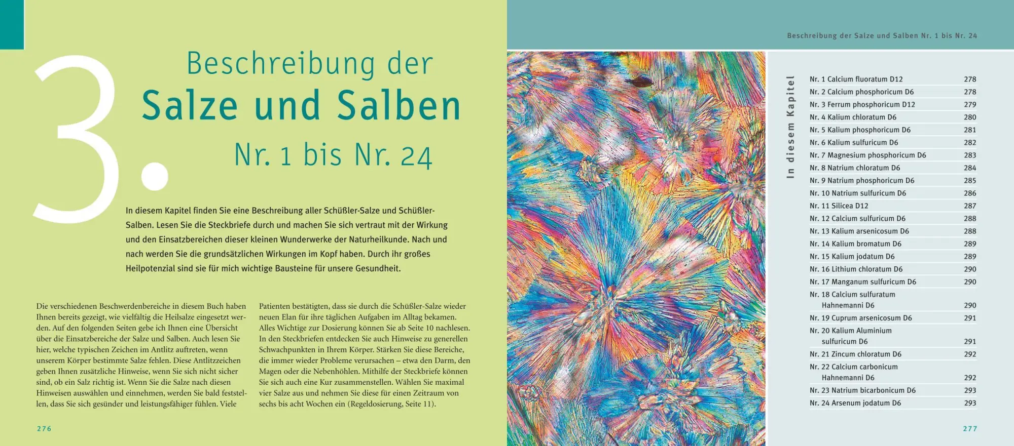 Bild: 9783833845680 | Maxi-Quickfinder Schüßler-Salze | Günther H. Heepen | Buch | 312 S.
