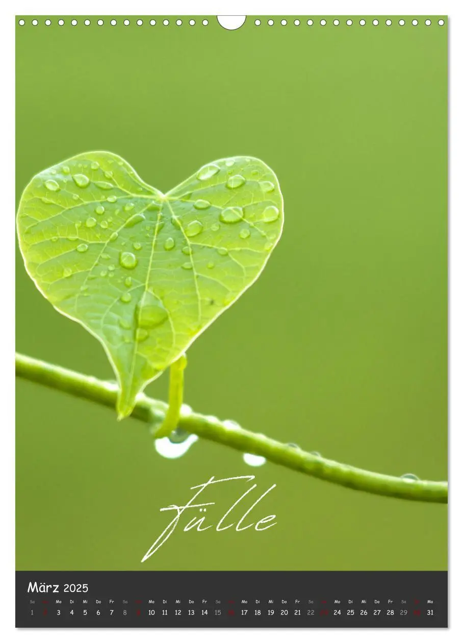 Bild: 9783457185780 | 12 Worte für Liebe (Wandkalender 2025 DIN A3 hoch), CALVENDO...
