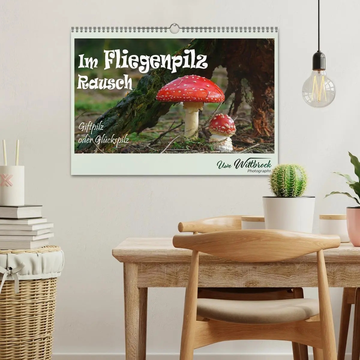 Bild: 9783457545980 | Im Fliegenpilz Rausch (Wandkalender 2026 DIN A3 quer), CALVENDO...