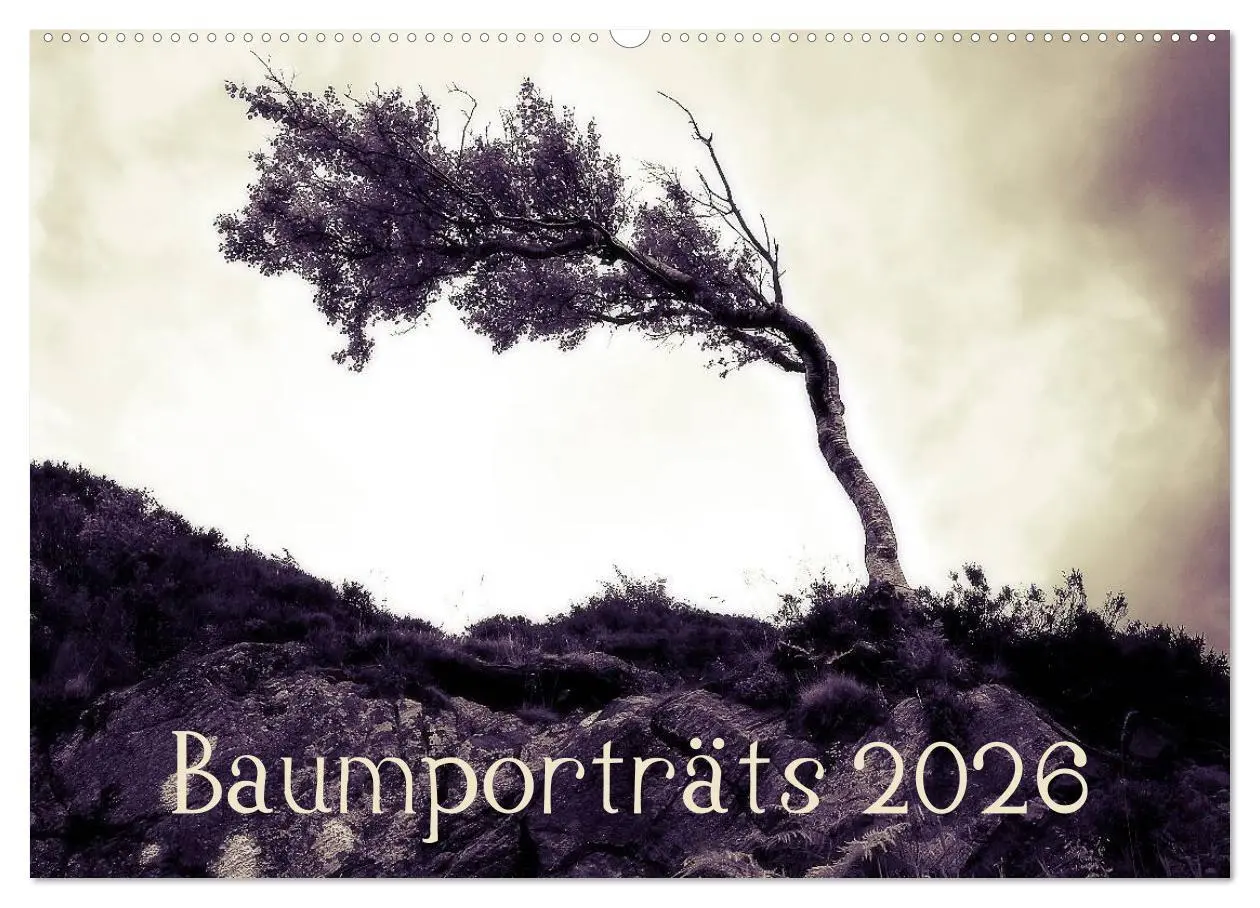Cover: 9783516185980 | Baumporträts 2026 (Wandkalender 2026 DIN A2 quer), CALVENDO...