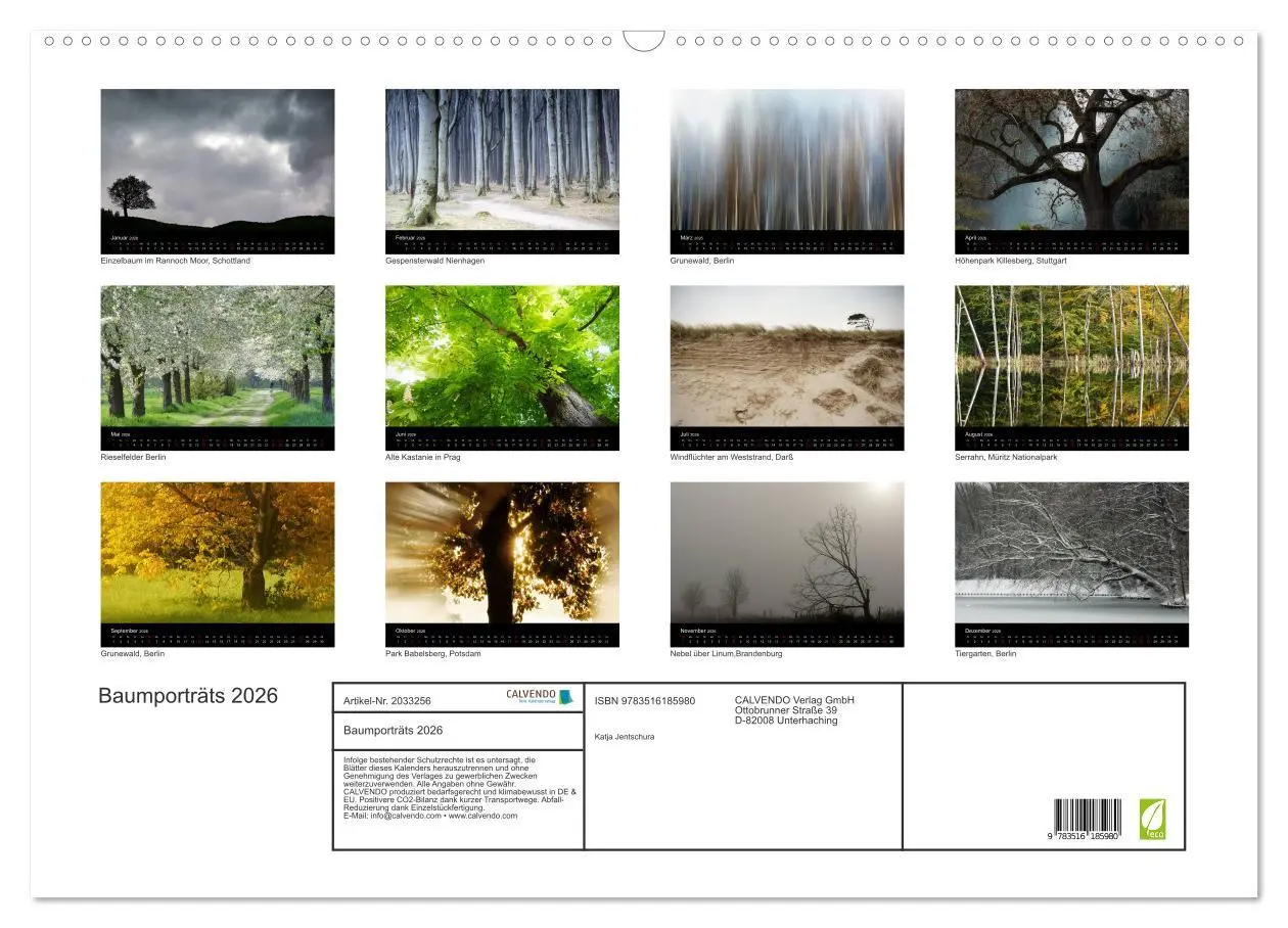 Bild: 9783516185980 | Baumporträts 2026 (Wandkalender 2026 DIN A2 quer), CALVENDO...