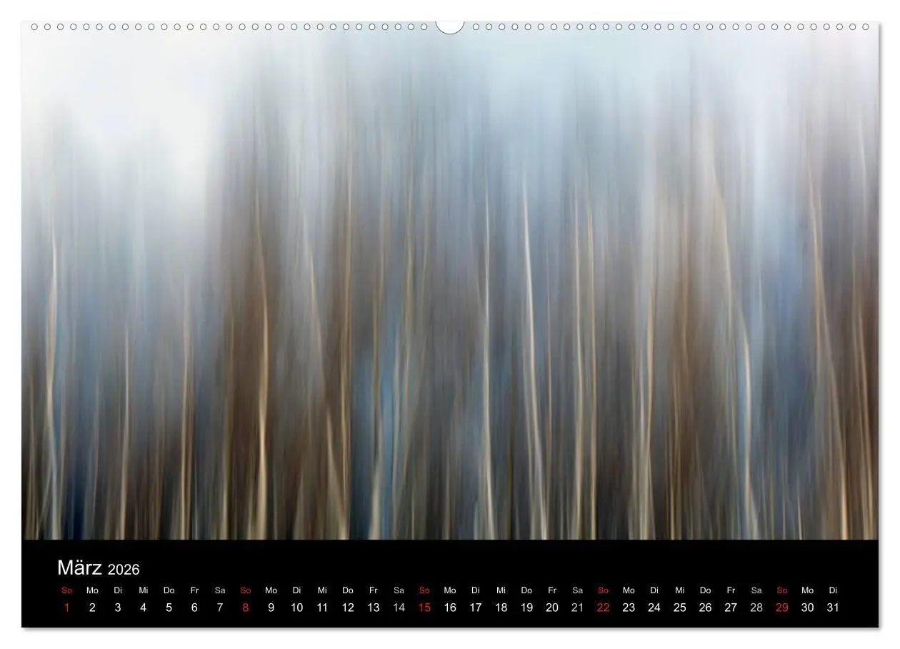 Bild: 9783516185980 | Baumporträts 2026 (Wandkalender 2026 DIN A2 quer), CALVENDO...