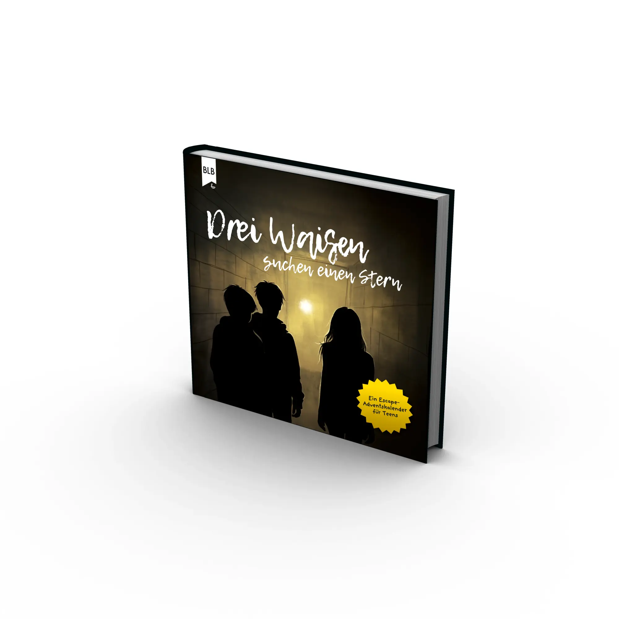 Cover: 9783955685980 | Drei Waisen suchen einen Stern | Ein Escape-Adventskalender für Teens