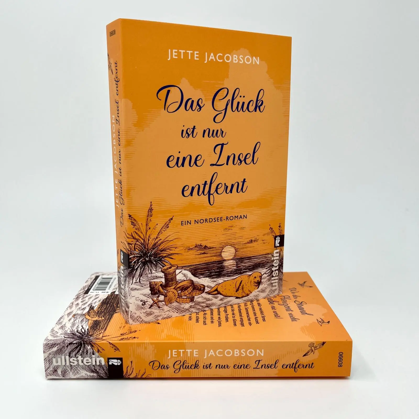Bild: 9783548066080 | Das Glück ist nur eine Insel entfernt | Jette Jacobson | Taschenbuch