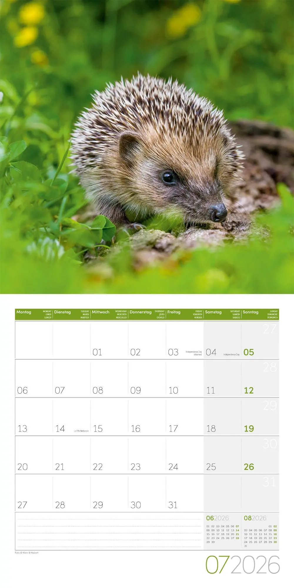Bild: 9783838446080 | Igel Kalender 2026 - 30x30 | Ackermann Kunstverlag GmbH | Kalender