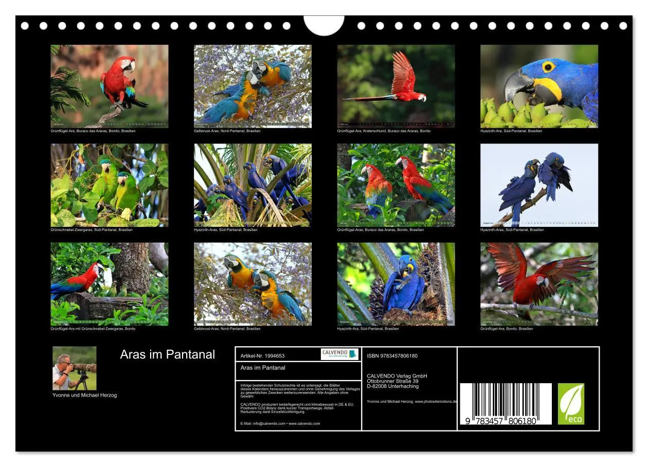 Bild: 9783457806180 | Aras im Pantanal (Wandkalender 2026 DIN A4 quer), CALVENDO...