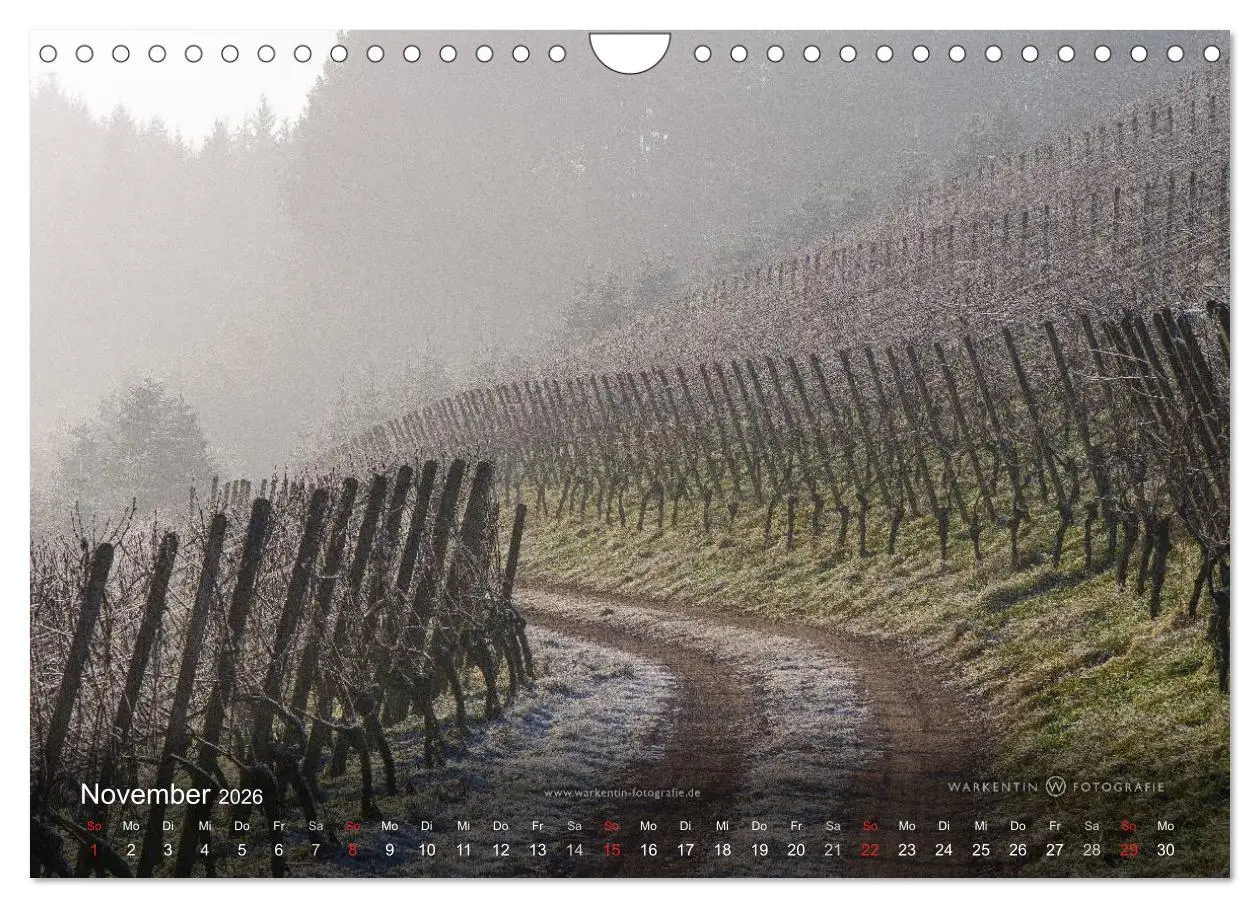 Bild: 9783516066180 | Romantisches Renchtal (Wandkalender 2026 DIN A4 quer), CALVENDO...
