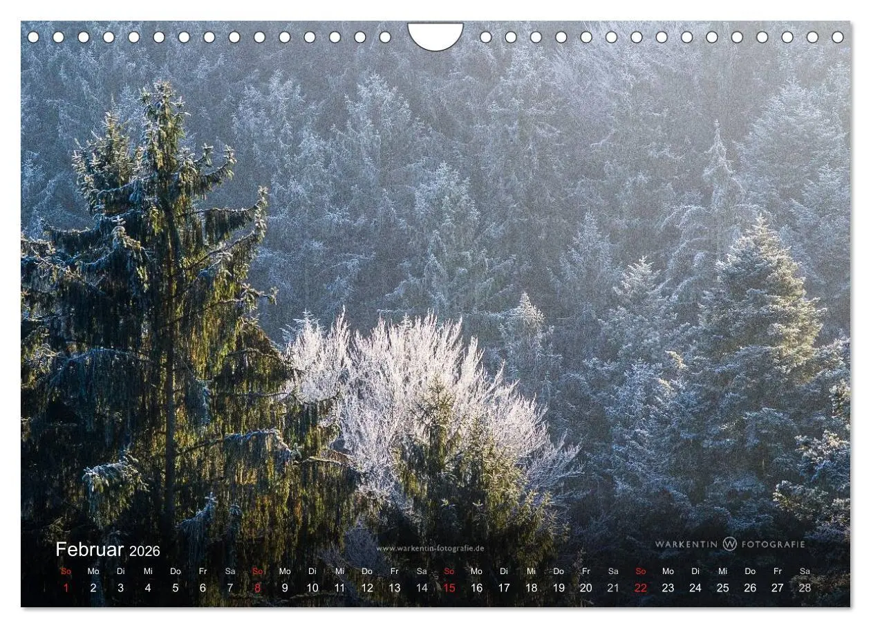 Bild: 9783516066180 | Romantisches Renchtal (Wandkalender 2026 DIN A4 quer), CALVENDO...