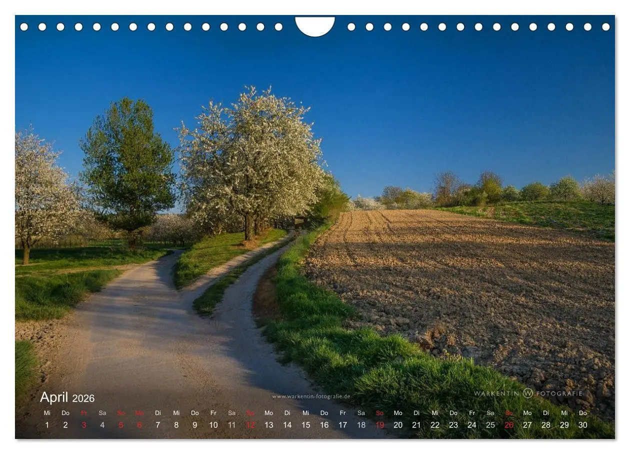 Bild: 9783516066180 | Romantisches Renchtal (Wandkalender 2026 DIN A4 quer), CALVENDO...