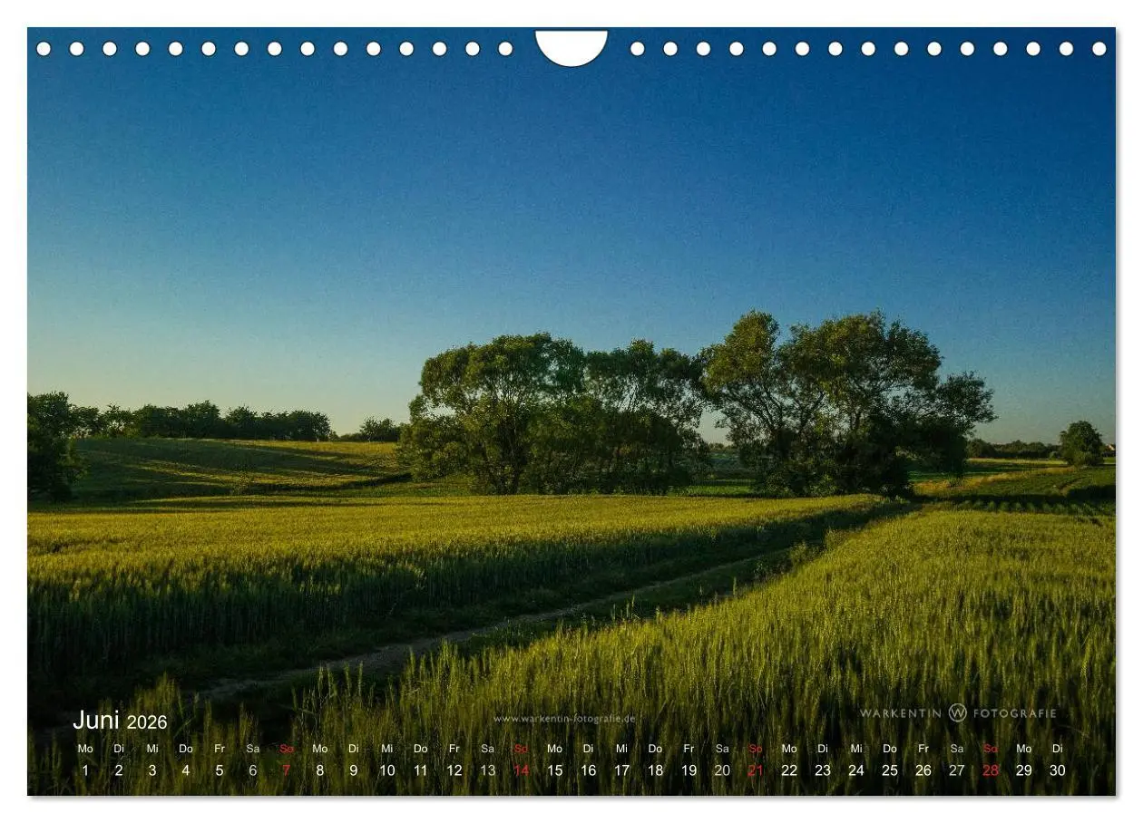 Bild: 9783516066180 | Romantisches Renchtal (Wandkalender 2026 DIN A4 quer), CALVENDO...