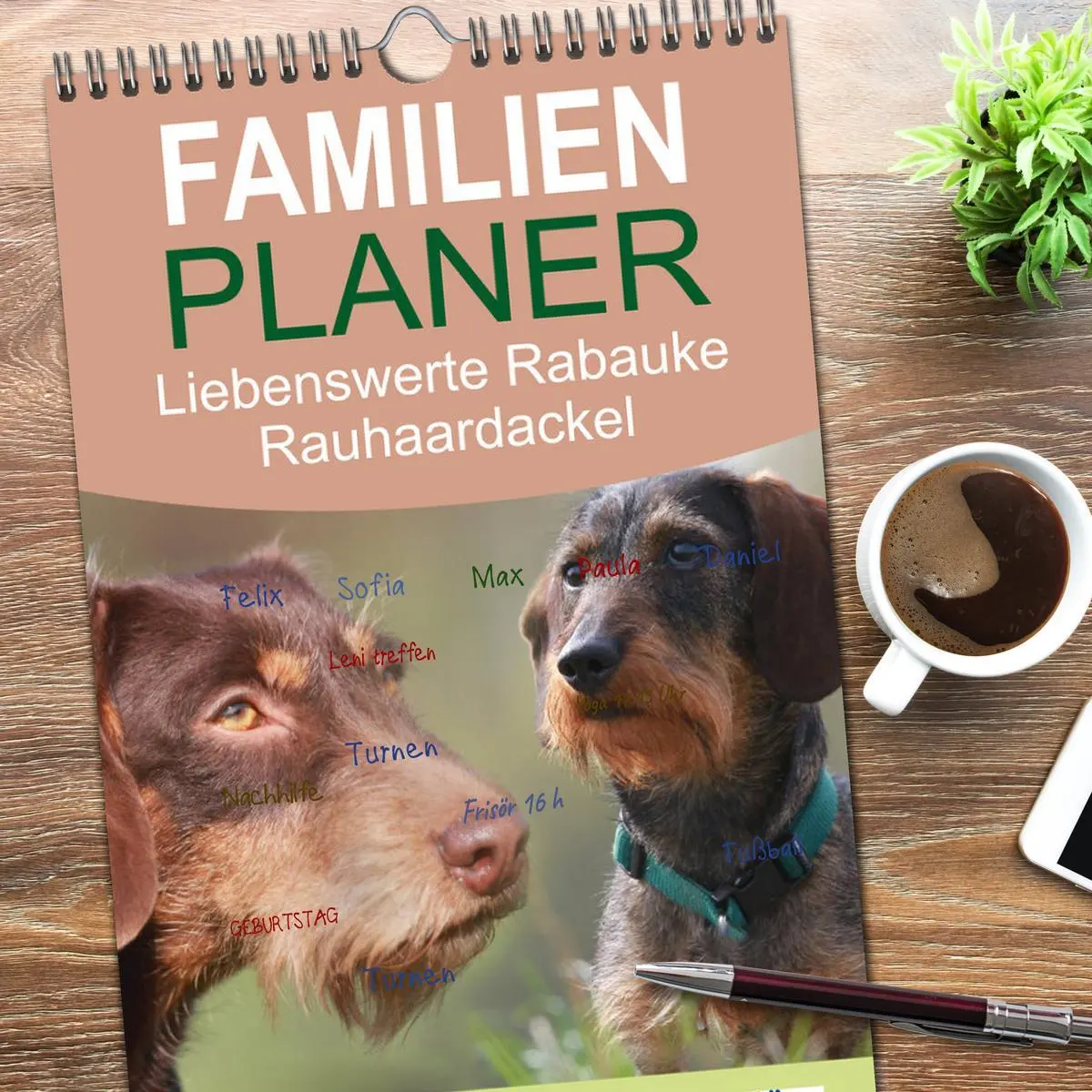 Bild: 9783516516180 | Familienplaner 2026 - Liebenswerte Rabauken - Rauhaardackel mit 5...