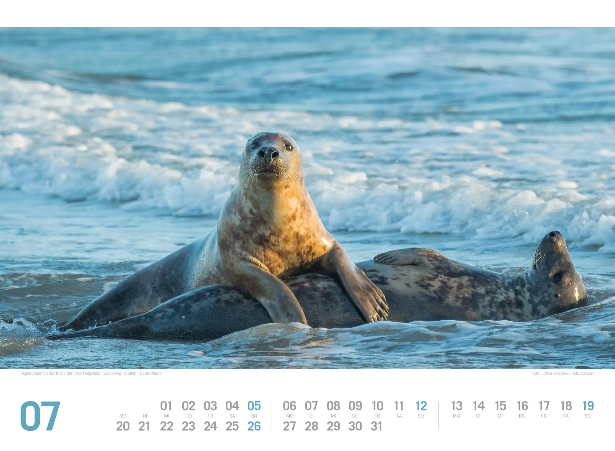 Bild: 9783838436180 | Nordsee ReiseLust Kalender 2026 von Ostfriesland bis nach Sylt | GmbH