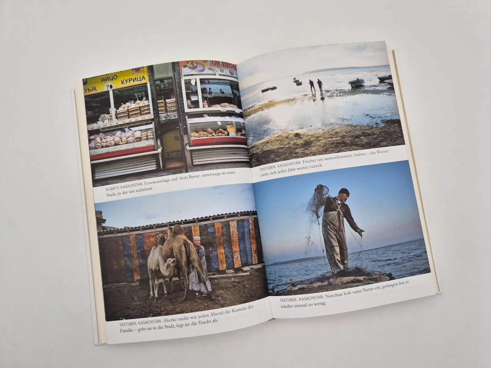 Bild: 9783890296180 | Und vor uns die ganze Welt | Andreas Babst | Buch | 240 S. | Deutsch