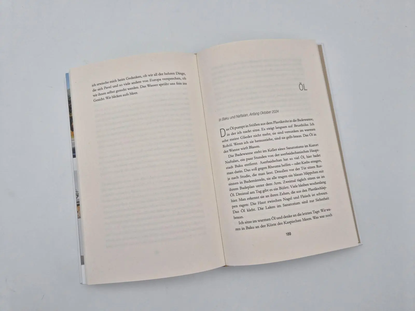 Bild: 9783890296180 | Und vor uns die ganze Welt | Andreas Babst | Buch | 240 S. | Deutsch
