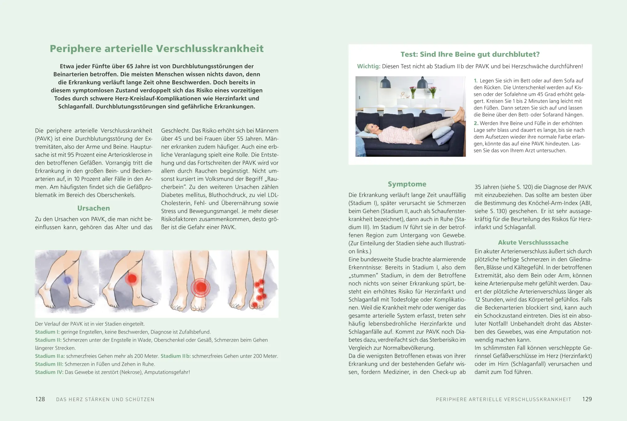 Bild: 9783898836180 | Meine sanfte Medizin für ein starkes Herz | Franziska Rubin | Buch