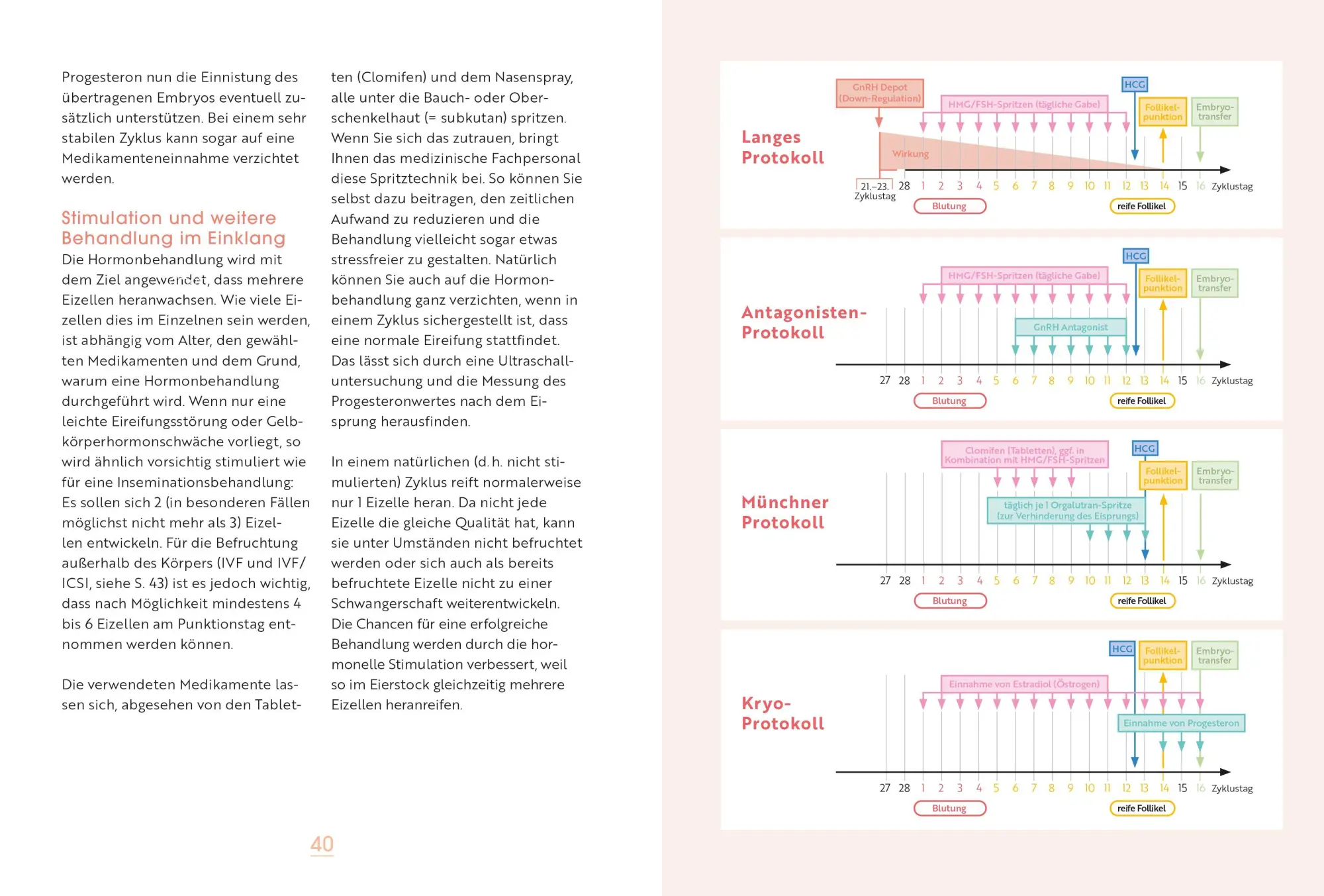 Bild: 9783965846180 | Vom Kinderwunsch zum Wunschkind | Klaus Fiedler | Taschenbuch | 160 S.