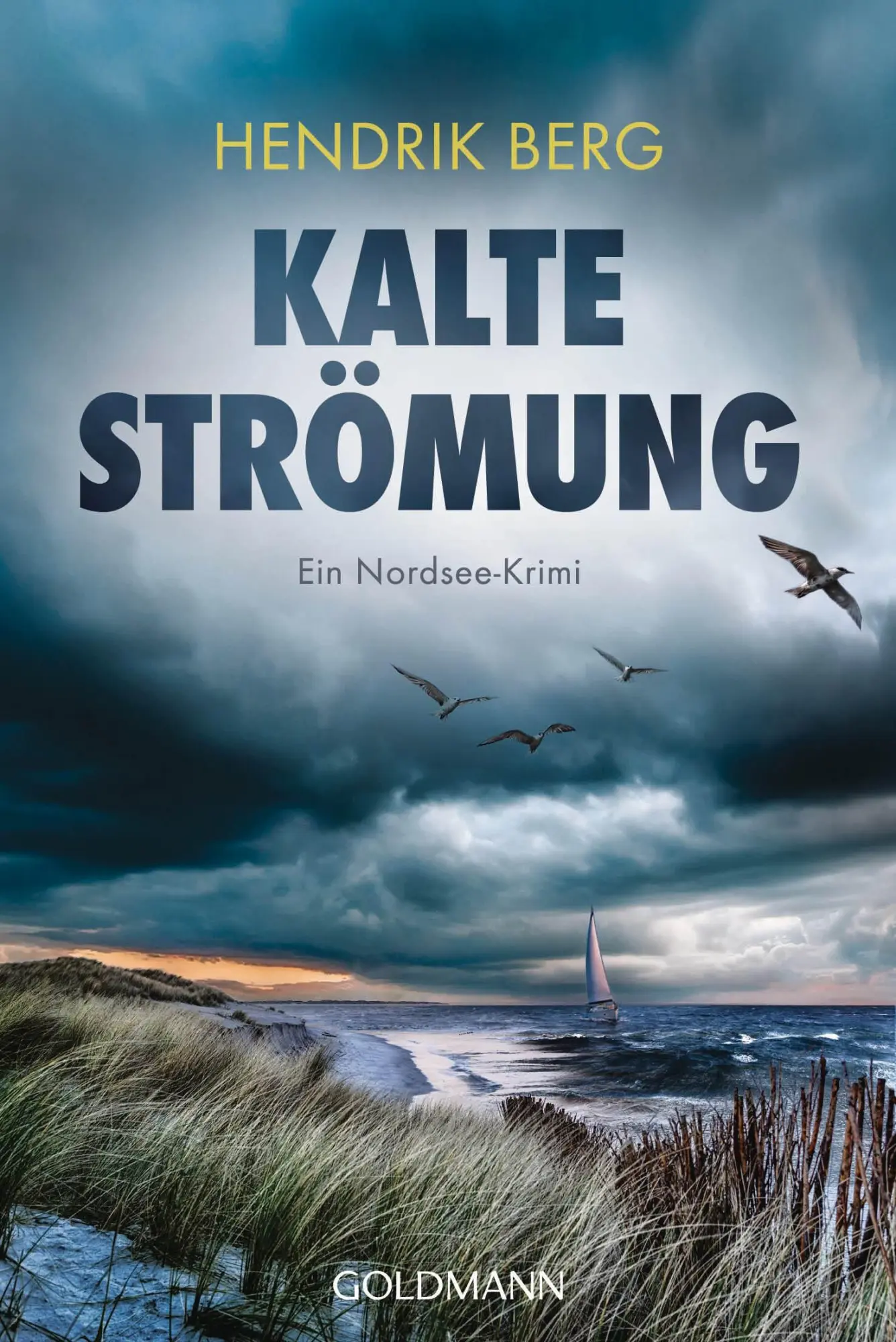 Cover: 9783442496280 | Kalte Strömung | Ein Nordsee-Krimi | Hendrik Berg | Taschenbuch | 2025