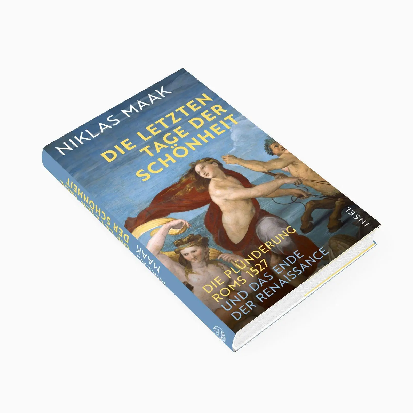 Bild: 9783458646280 | Die letzten Tage der Schönheit | Niklas Maak | Buch | 252 S. | Deutsch