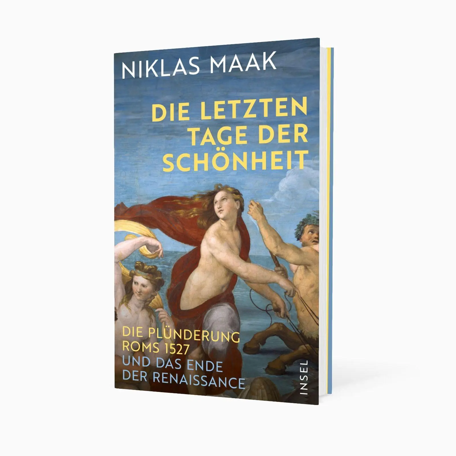 Bild: 9783458646280 | Die letzten Tage der Schönheit | Niklas Maak | Buch | 252 S. | Deutsch