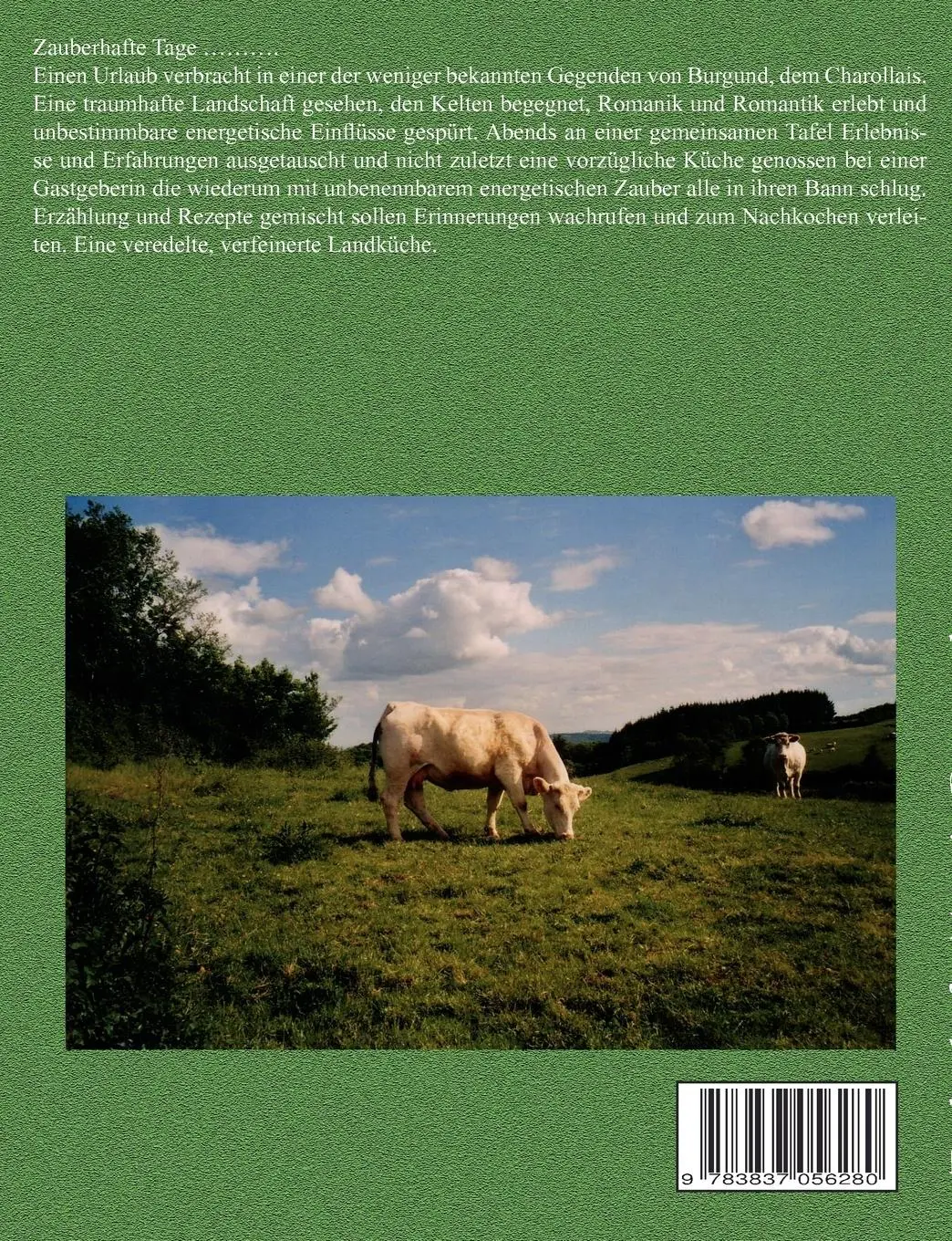 Rückseite: 9783837056280 | Zauberhafte Tage in Burgund | Renate Queren | Taschenbuch | 140 S.