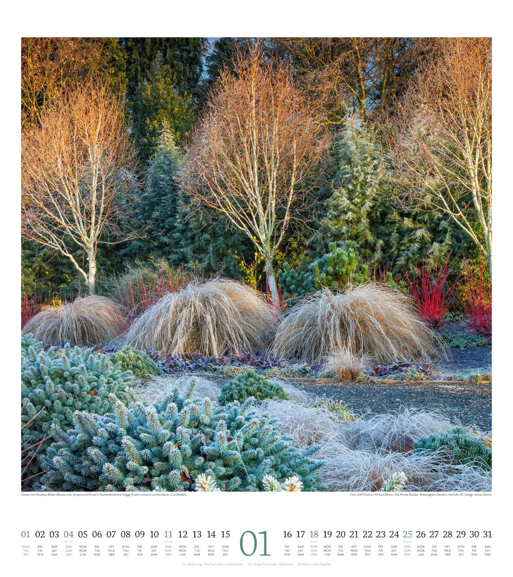 Bild: 9783838426280 | Paradiesische Gärten Kalender 2026 | Ackermann Kunstverlag GmbH | 2026