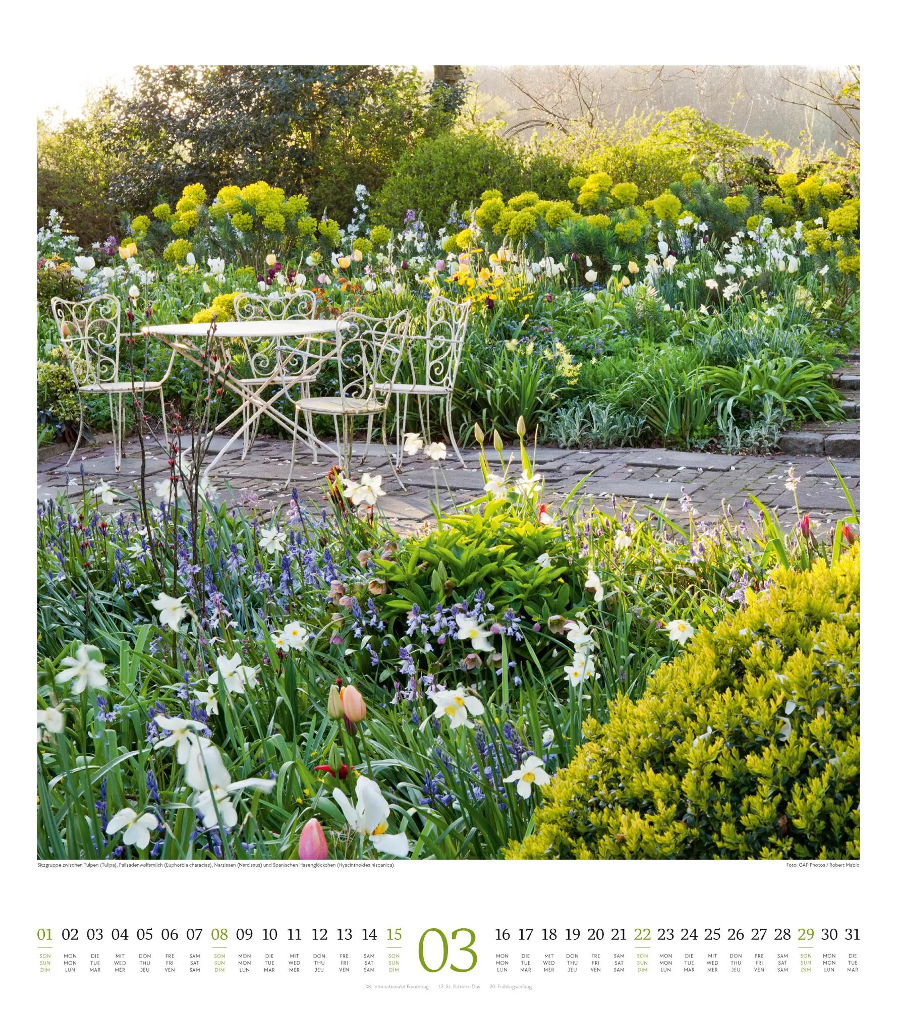 Bild: 9783838426280 | Paradiesische Gärten Kalender 2026 | Ackermann Kunstverlag GmbH | 2026