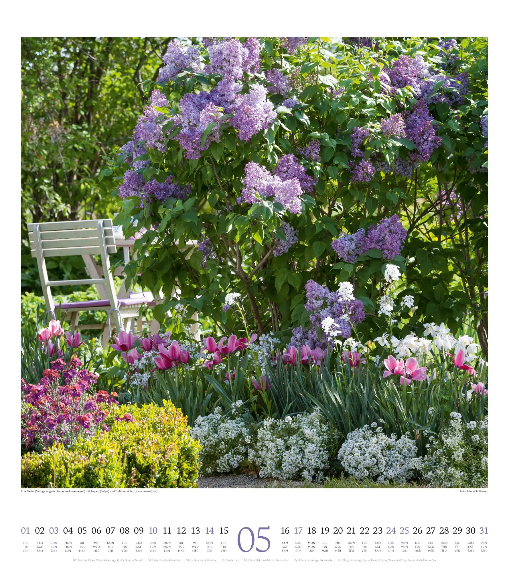 Bild: 9783838426280 | Paradiesische Gärten Kalender 2026 | Ackermann Kunstverlag GmbH | 2026
