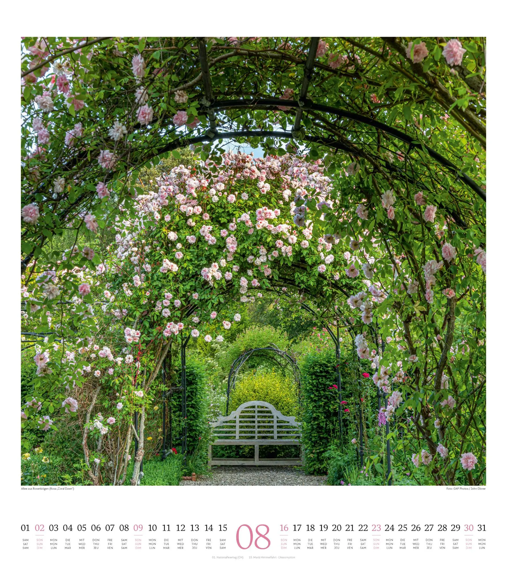 Bild: 9783838426280 | Paradiesische Gärten Kalender 2026 | Ackermann Kunstverlag GmbH | 2026