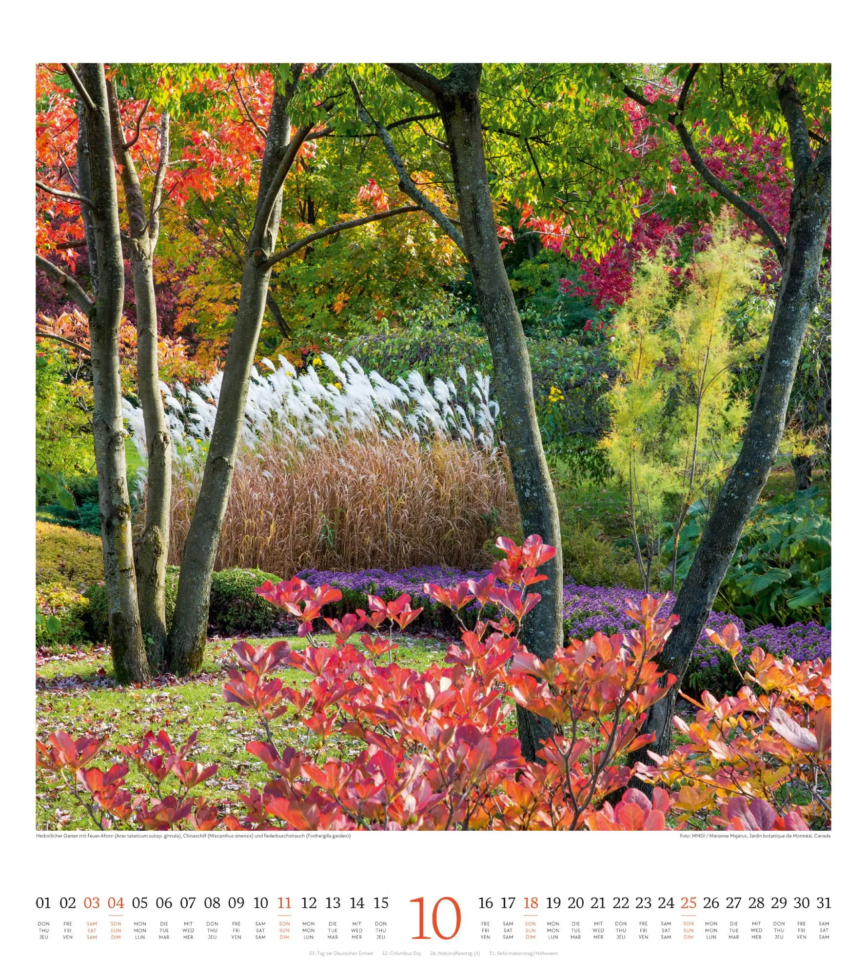 Bild: 9783838426280 | Paradiesische Gärten Kalender 2026 | Ackermann Kunstverlag GmbH | 2026