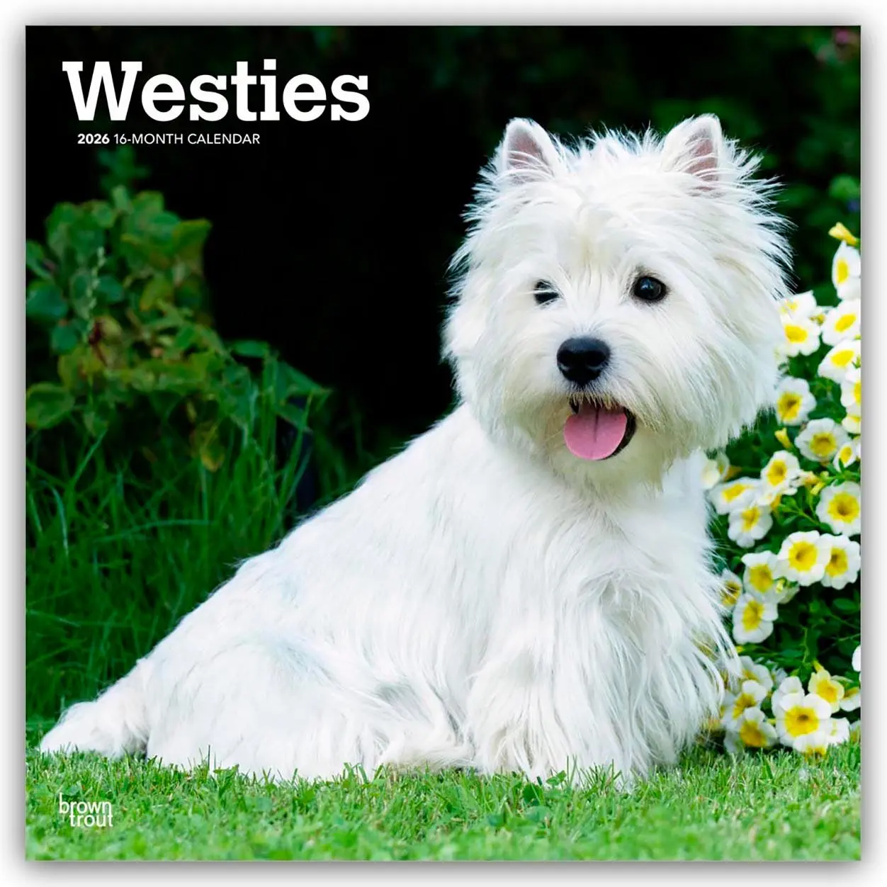 Cover: 9798330706280 | West Highland White Terriers 2026 12 X 24 Inch (Hanging) Monthly...