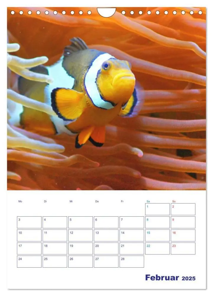 Bild: 9783435936380 | Bunte Meereswelten (Wandkalender 2025 DIN A4 hoch), CALVENDO...