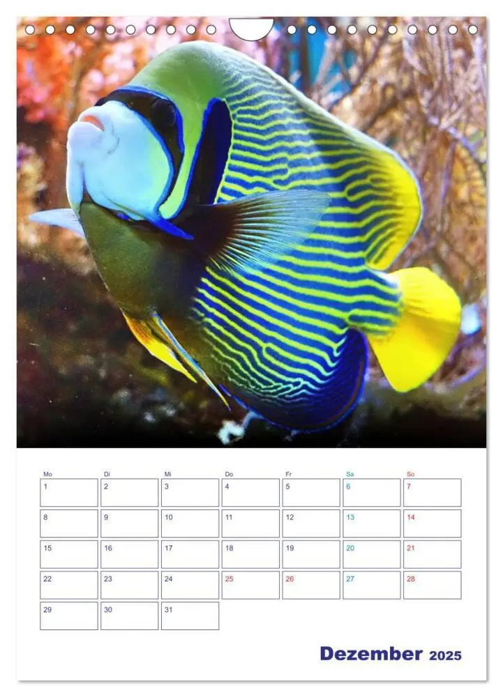 Bild: 9783435936380 | Bunte Meereswelten (Wandkalender 2025 DIN A4 hoch), CALVENDO...